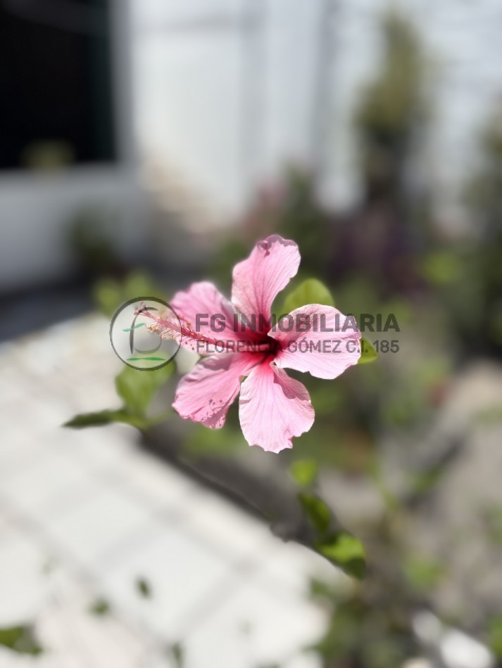 VENTA CASA PH SOBRE AV. ALEM 1500